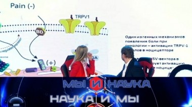 Через 10 лет наука победит боль? 25.07.2020