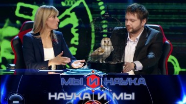 Через 10 лет появится бесплатное электричество? 04.04.2020