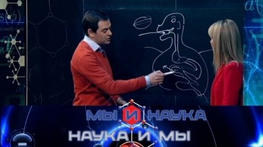 Через 10 лет появится таблетка для похудения 17.05.2019