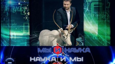 Через 10 лет Арктика накормит Россию? 05.12.2022