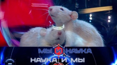 Через 10 лет мы проиграем войну бактериям? 09.03.2022