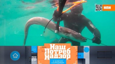 Доступная деликатесная рыба и подмена корюшки, опасный шашлык в ведерках и выбор керамической плитки 02.06.2024