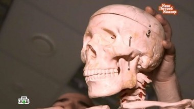 Е на этикетке продукта, как сидеть, чтобы не заработать инсульт, охота на кредитки и безмолочная сметана 28.08.2016