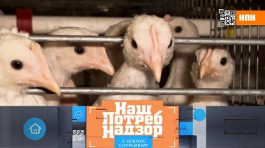 Как определить хорошее куриное яйцо на глаз и чем фаршируют пельмени на самом деле 12.04.2025