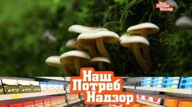 Как проверяют грибы, что такое витамин С, а также - экспертиза столового хрена 14.10.2018