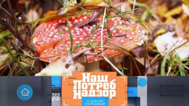 Грибы-гиганты, ультрапастеризованное молоко и себестоимость конфет в кокосовой стружке 23.10.2021