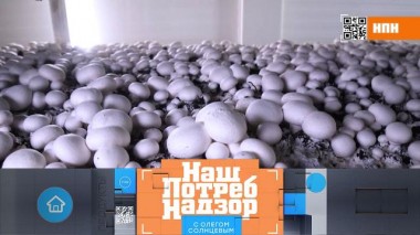 Искусственный жир в молоке, пестициды в овсяных напитках и польза шампиньонов 14.05.2022