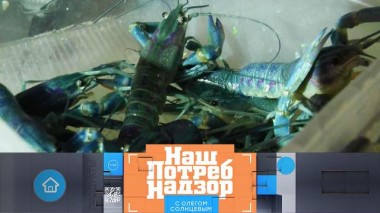 Мини-ферма в гараже, сальмонелла в курином филе и безопасная тара для напитков 21.05.2022