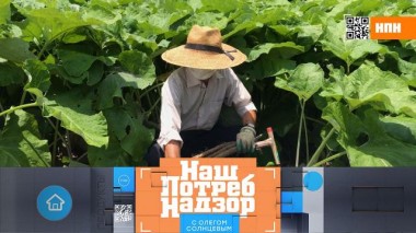 Нестандартные заготовки на зиму, стоит ли переплачивать за сыр и много ли пользы в семечках 01.10.2022