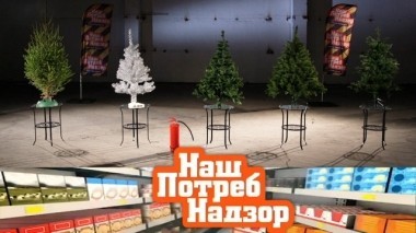 Огнеопасные новогодние елки, массаж для похудения и экспертиза блинчиков с мясом 15.12.2018