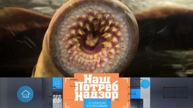 Рыбные шлягеры с советских прилавков и контрольная закупка подсолнечного масла 09.02.2025