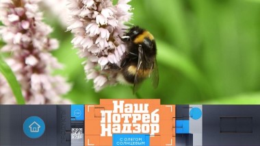 Съедобные дикие травы и способы избавиться от домашних насекомых 20.06.2020