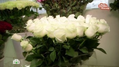 Выпуск от 14 февраля 2016 года 14.02.2016