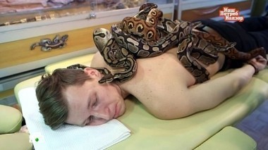 Выпуск от 24 января 2016 года 24.01.2016