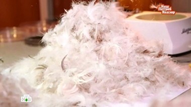 Выпуск от 29 мая 2016 года 29.05.2016