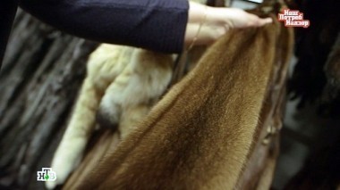 Выпуск от 31 января 2016 года 31.01.2016