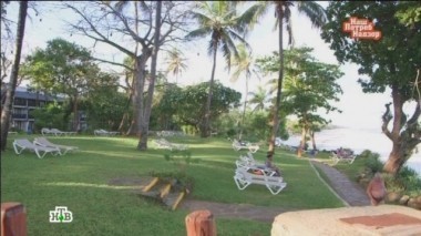 Выпуск от 6 декабря 2015 года 06.12.2015