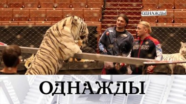 Великолепные братья Запашные и большая чистая любовь Александра Олешко 23.09.2022