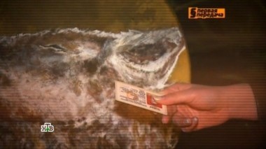 Бурятский детектив и липовые права, фокусы с номерами, кто такие прилипалы и как подготовить автомобиль к дальней поездке 05.08.2017