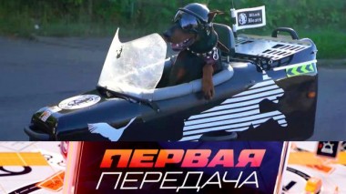 Доберман-байкер, машины-«погремушки» и несдержанные водители 21.09.2024