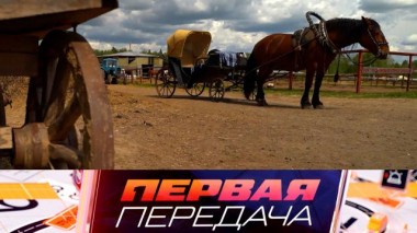 Гужевая повозка в потоке и отзывная кампания корейской марки машин 08.06.2025
