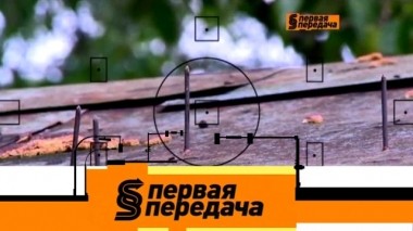 Гвозди на гараже вместо сигнализации и регулировка громкости выхлопа 09.06.2019