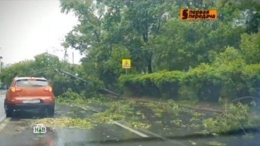 Как спастись от урагана, безопасный обгон на трассе, документы на мопеды и скандал на штрафстоянке 03.06.2017