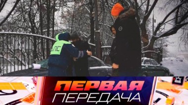 Личный досмотр до трусов, 5 шагов к возмещению ущерба и спасение от ритмического заноса 11.02.2024