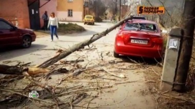 Машины под завалами, правила перевозки домашних животных, вождение в нетрезвом виде и бронированные фары 22.07.2017