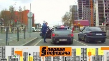 Нервный водитель теряет лицо, ДТП с коровой и что делать, если полицейский велит встать в запрещенном месте 25.05.2014