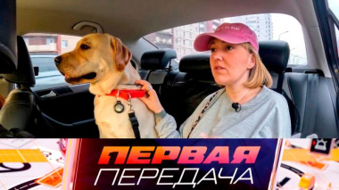 Перевозка питомцев в авто, ограбление на охраняемой парковке и смерть подростка по вине полицейского 05.04.2026