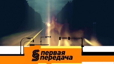 ДТП с животными, дорожный конфликт отцов и детей и тест Volkswagen Polo 13.11.2021