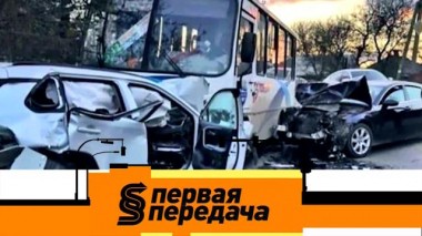 Водитель против автопарка и автомобилист с бойцовым псом 20.11.2021