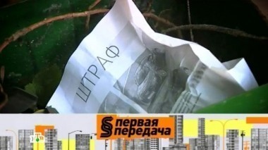 Продажа поддержанного автомобиля, убийство животных на дороге и что делать, если инспектор превышает свои полномочия? 20.08.2016