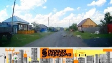 Сельские дороги с сюрпризами, досмотр машины с пристрастием, чужие штрафы на ваше имя и гонки в ритме лезгинки 18.06.2016