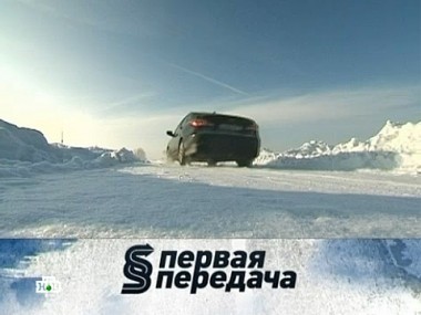 Сухой закон, скотина на дороге и вопросы страховки 10.03.2013