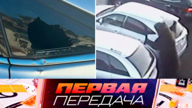 Возмещение ущерба за испорченное медведем авто и лишение прав из-за двух собак 04.10.2025