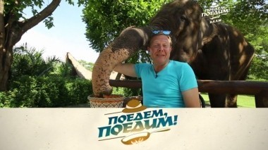 Бали: позитивный зоопарк без решеток, церемония подпиливания зубов, самый дорогой кофе в мире и традиционные сосиски 10.05.2018