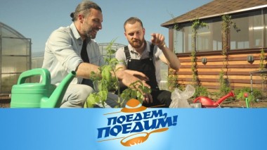 Дачный вояж: ландшафтный переворот, удобрение томатов рыбой и запекание курицы в земле 05.06.2020