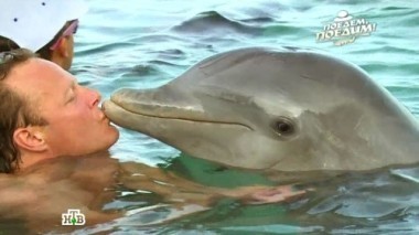 Доминикана: петушиные бои, русское ранчо, буфет для обезьян, бачата и рыба в кокосовом молоке 27.01.2017