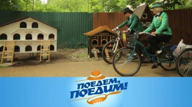 Калининградская область: кошачий су-шеф, Куршская коса и угощение от рыбного маньяка 30.10.2020