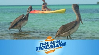 Куба: остров вдоль и поперек, дорога посреди моря, заплыв под водопадом и закуска из сырой рыбы 03.03.2023