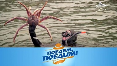Мурманская область: обед со дна моря, сюрпризы Териберки и блюда из кукумарии 06.10.2021