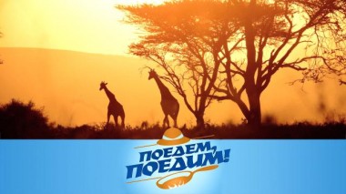 Танзания: сафари, завтрак с крокодилами, душ в джунглях и рыбный аукцион 05.03.2021