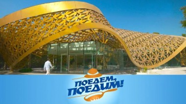 Шарджа: роддом для бабочек, по дюнам на багги, лунный ретрит и арабские лакомства 13.12.2024