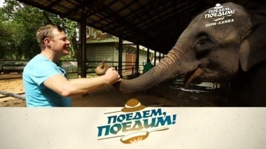 Шри-Ланка: дерево, которое посадил на Цейлоне последний русский царь, суп на чайном бульоне и настоящая курица карри 16.02.2018