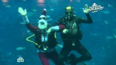 Сингапур: аквариум с голодными акулами, роскошь по-сингапурски и рецепт легендарного чили-краба 24.12.2016