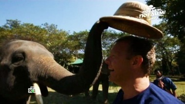 Таиланд: райский уголок в провинции Чиангмай, массаж от слона, русский борщ для тайцев и суп том кха 11.03.2017