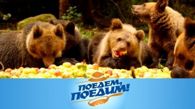 Тверская область: медвежий угол, полеты на зиплайне, Селигер и знаменитые пожарские котлеты 14.11.2024