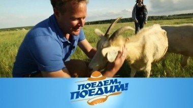 Ульяновск: захватывающие полеты, сильнейшая бабушка планеты и блины с креветочным жюльеном 27.09.2018